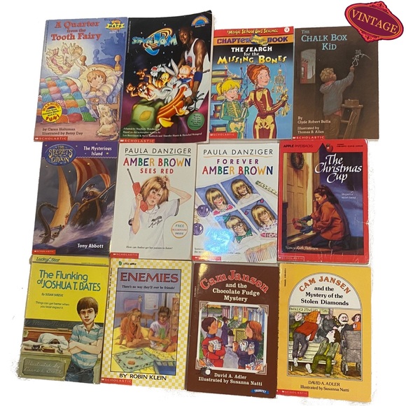 🎉2/30 Set of 12 Books Early Reader RL3 Illustrated Elementary School Stories - Picture 9 of 9